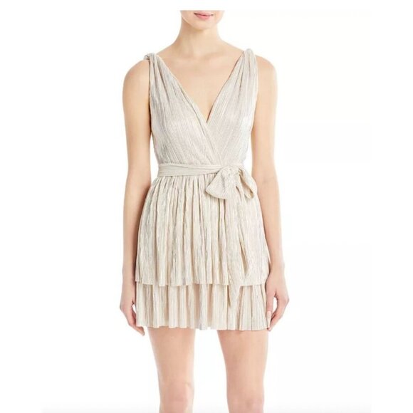 Sabina Musayev Alma Plisse Tiered Mini Dress - Picture 2 of 5